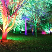 Syon Park's Enchanted Woodland