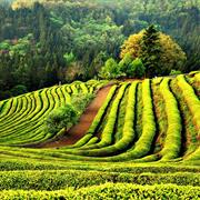 South Jeolla Province