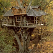 Spend a Night in a Tree House