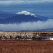 Klamath Basin