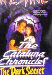 The Dark Secret (R.L Stine)