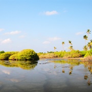 Eedhigali Kilhi & Kottey Protected Area, Maldives