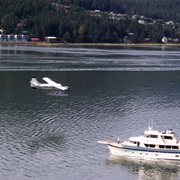 Seeing Seaplanes Take off and Land in Juneau Harbor