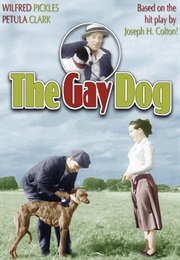 The Gay Dog (1954)
