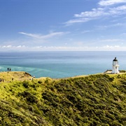 Watch the Seas Collide at Cape Reinga
