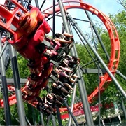 Cobra (Tivoli Friheden)