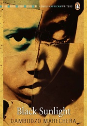 Black Sunlight (Dambudzo Marechera)