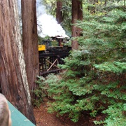 Roaring Camp Railroad