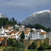 Cabeça, Seia