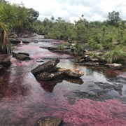 San Jose Del Guaviare, Colombia