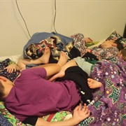 You Shared a Room, or Bed.