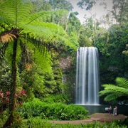 The Wet Tropics of Queensland