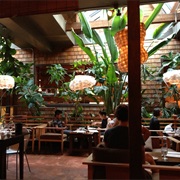 Umi Sake House (Seattle, Washington)