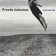 Can You Fly - Freedy Johnston