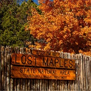 Lost Maples State Natural Area, Texas