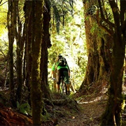 Te Iringa Central NI