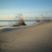 Long Point Provincial Park