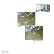 D/P/I - Fresh Roses (2013)