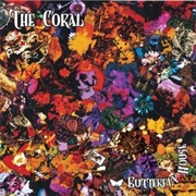 The Coral - Butterfly House
