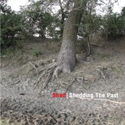 Shed - Shedding the Past (2008)
