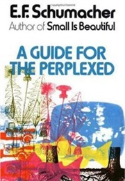 A Guide for the Perplexed (Ernst Schumacher)