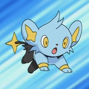 Shinx