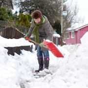 Clearing Snow From the Paths
