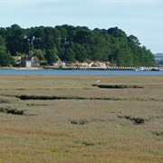 Round Island, Poole Harbour