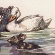 Duck (Alice in Wonderland)