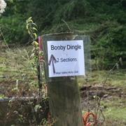Booby Dingle
