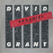 Organize (Extended Remix) - David Grant