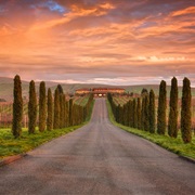 Jamieson Ranch Vineyards