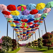 Dubai Miracle Garden