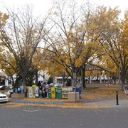 Old Town Albuquerque