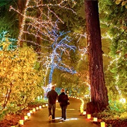 Visit the Grotto at Christmas (Portland, OR)