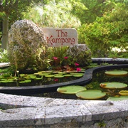 The Kampong National Tropical Botanical Garden