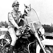 Vigilante Rodoviário