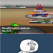 Pokemon Used Endure on 1HP