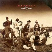 Madness - The Rise &amp; Fall (1982)