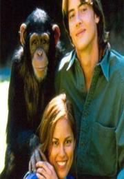 Crosstown Traffic (1995)