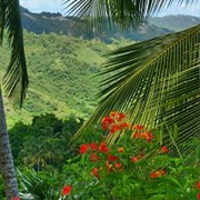 Flower Forest, Barbados