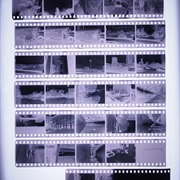 Developed Film Negatives