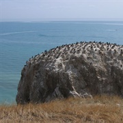 Qinghai Lake