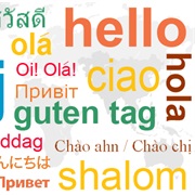 Speak Any Other Language