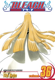 Bleach Volume 36 (Tite Kubo)