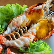 Giant River Prawn (MacRobrachium Rosenbergii)