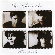 Starfish - The Church