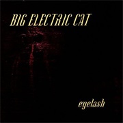 Big Electric Cat — Eyelash