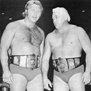 Nick Bockwinkel and Ray Stevens