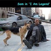 Sam the Dog - I Am Legend